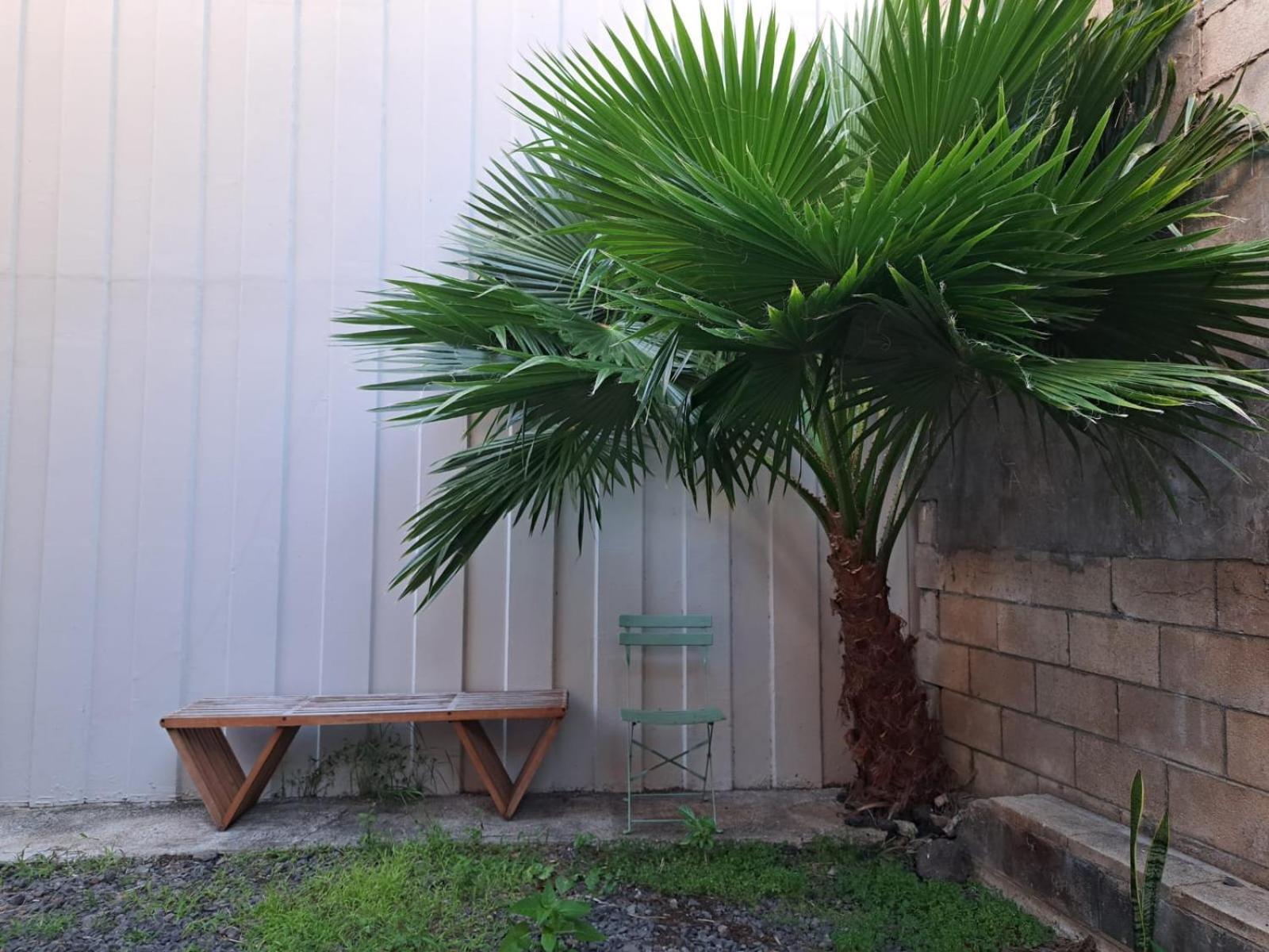 Hostel Honu Waikiki By Aloh *